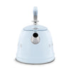 Kettle Retro-style Pastel blue Glossy