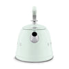 Kettle Retro-style Pastel green Glossy