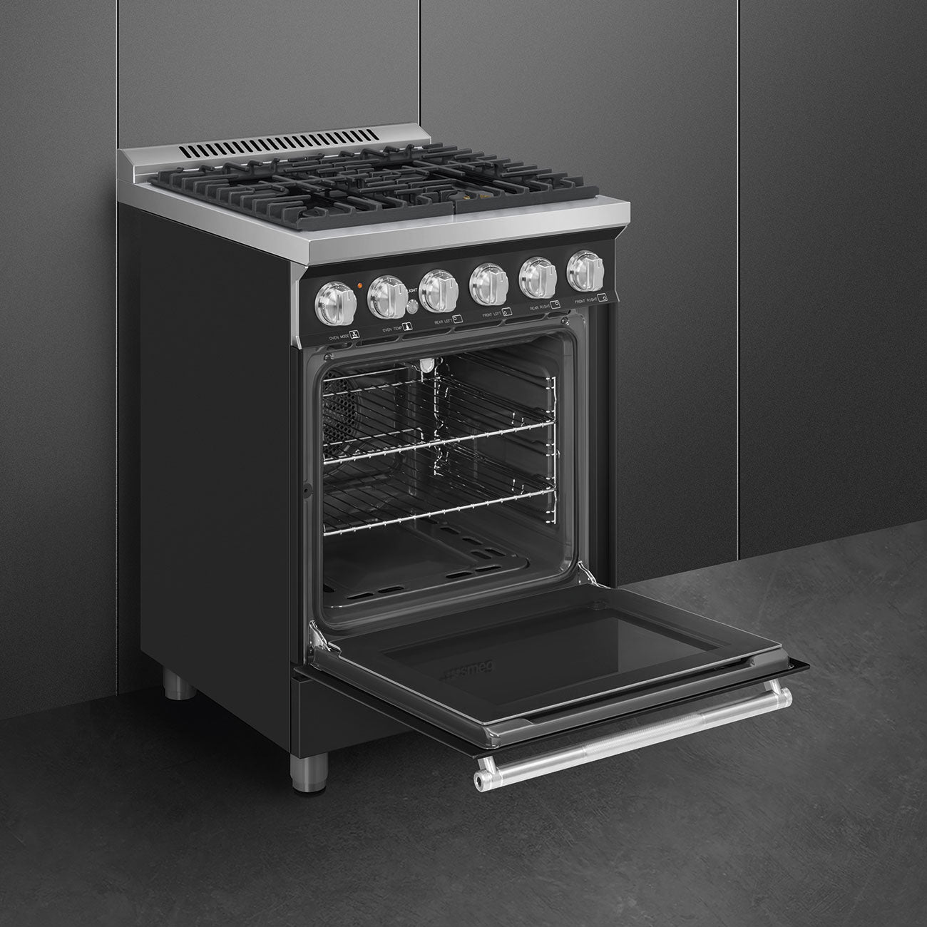 24-Inch Professional Full-Gas Range - Anthracite
