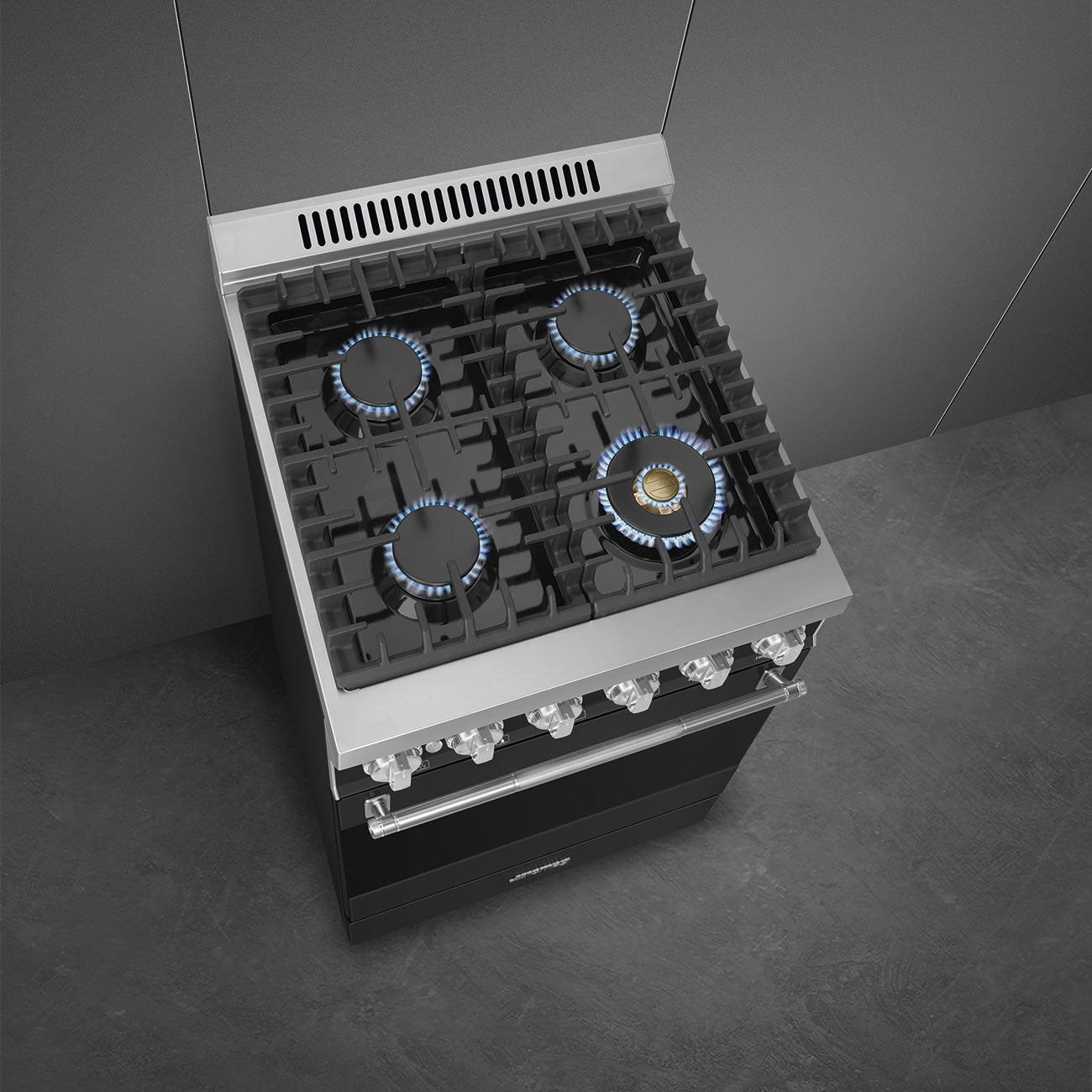 24-Inch Professional Full-Gas Range - Anthracite