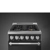 24-Inch Professional Full-Gas Range - Anthracite