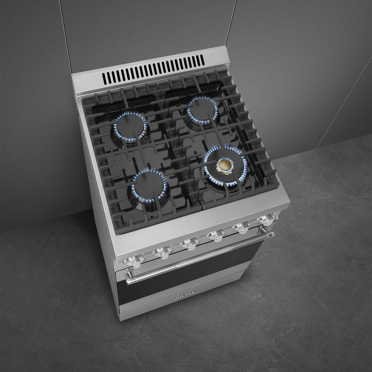 24-Inch Professional Full-Gas Range - Stainless Steel