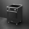 24-Inch Professional Induction Range - Matte Black