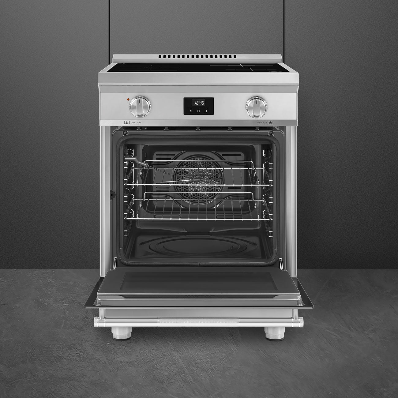 24-Inch Professional Induction Range - Stainless Steel