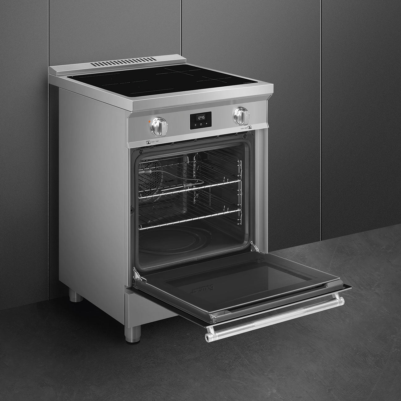 24-Inch Professional Induction Range - Stainless Steel